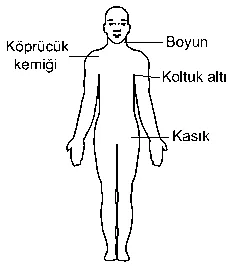 Soru 8 şekli