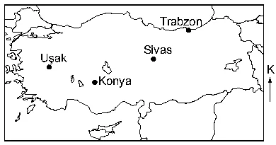 Soru 17 şekli