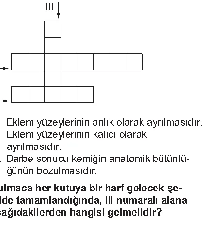 Soru 5 şekli