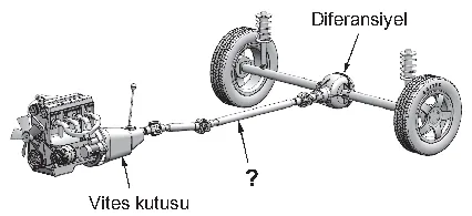 Soru 44 şekli